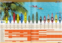 Bic Sport