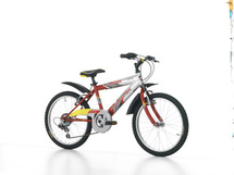 VELO ET VTT CINZIA