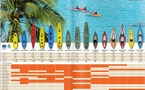 Bic Sport