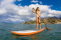 STAND UP OXBOW STAND UP OXBOW